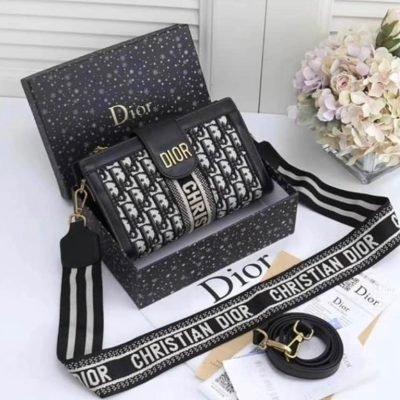 Christian Dior Luxury Designer Handbag For Women